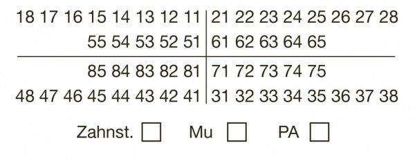 FDI-Zahnschema 01 - Stempel