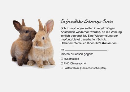 Vorsorge-Service Kaninchen