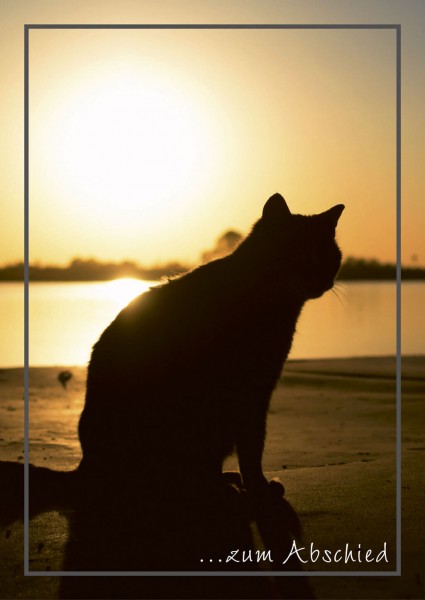 Katze im Sonnenuntergang
