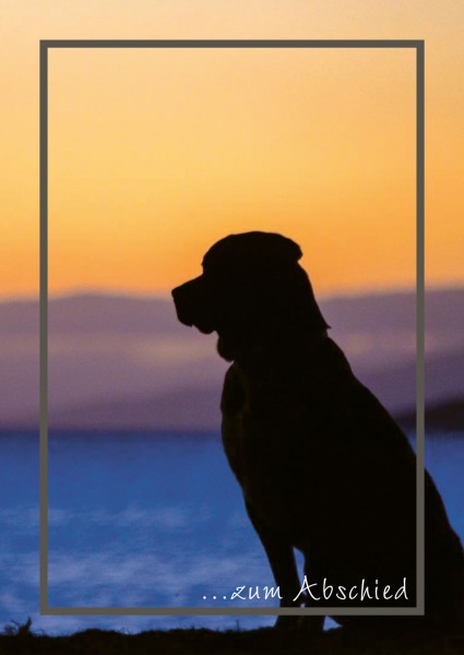 Hund 2 im Sonnenuntergang